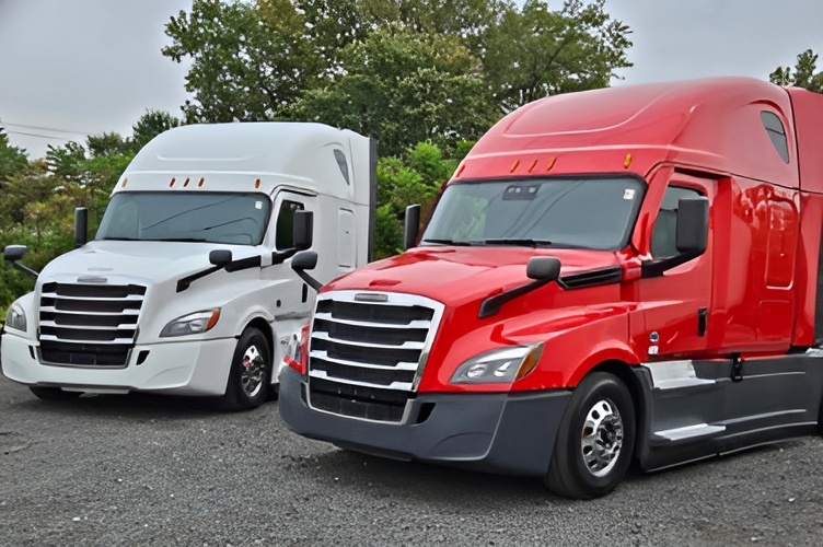 MSM Transport red and white Freightliner tractors